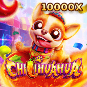 Chilihuahua